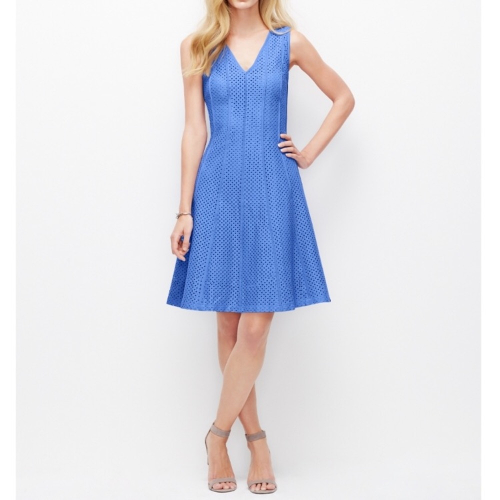 Ann Taylor Eyelet Dress
